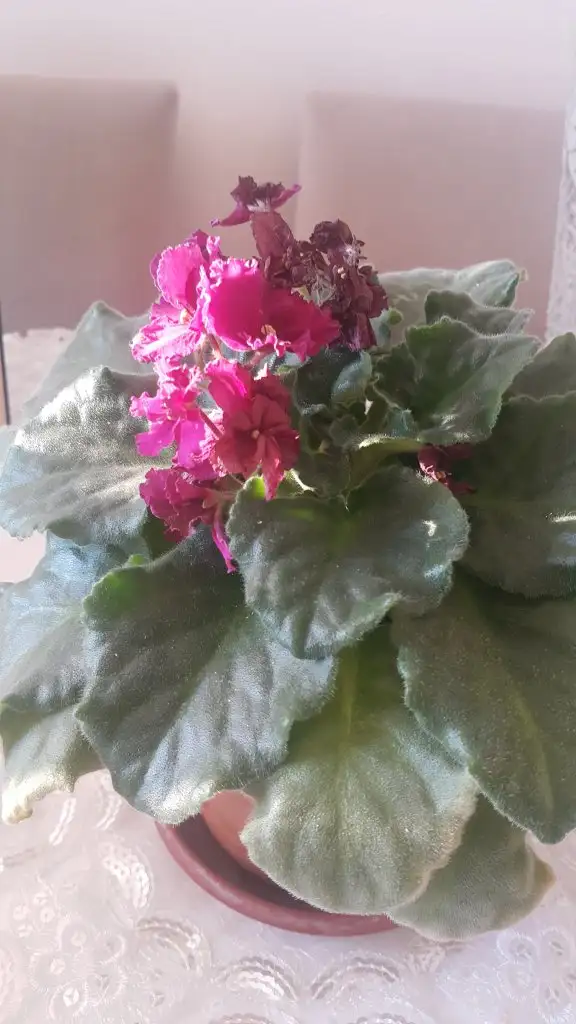 20200823_184416.webp
