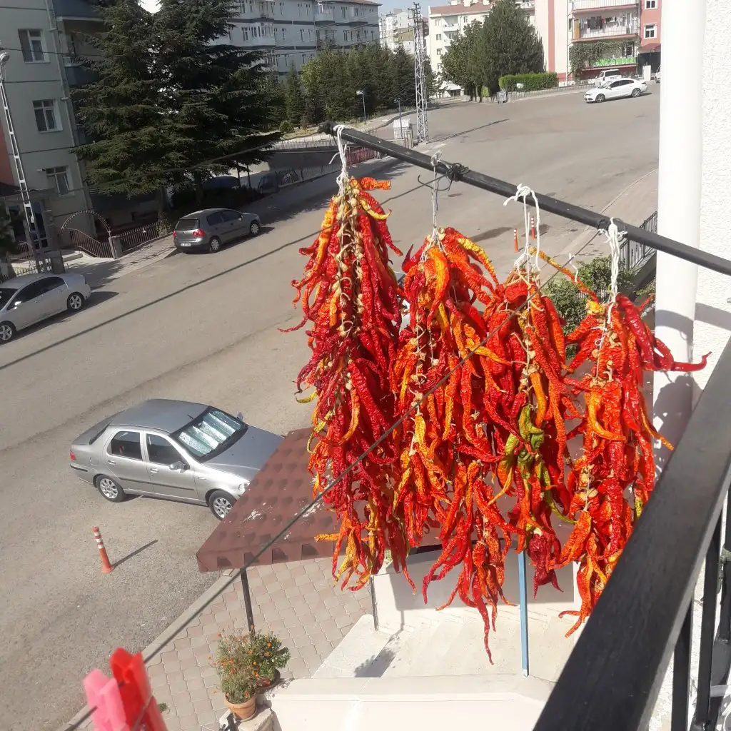 20200901_094229.webp