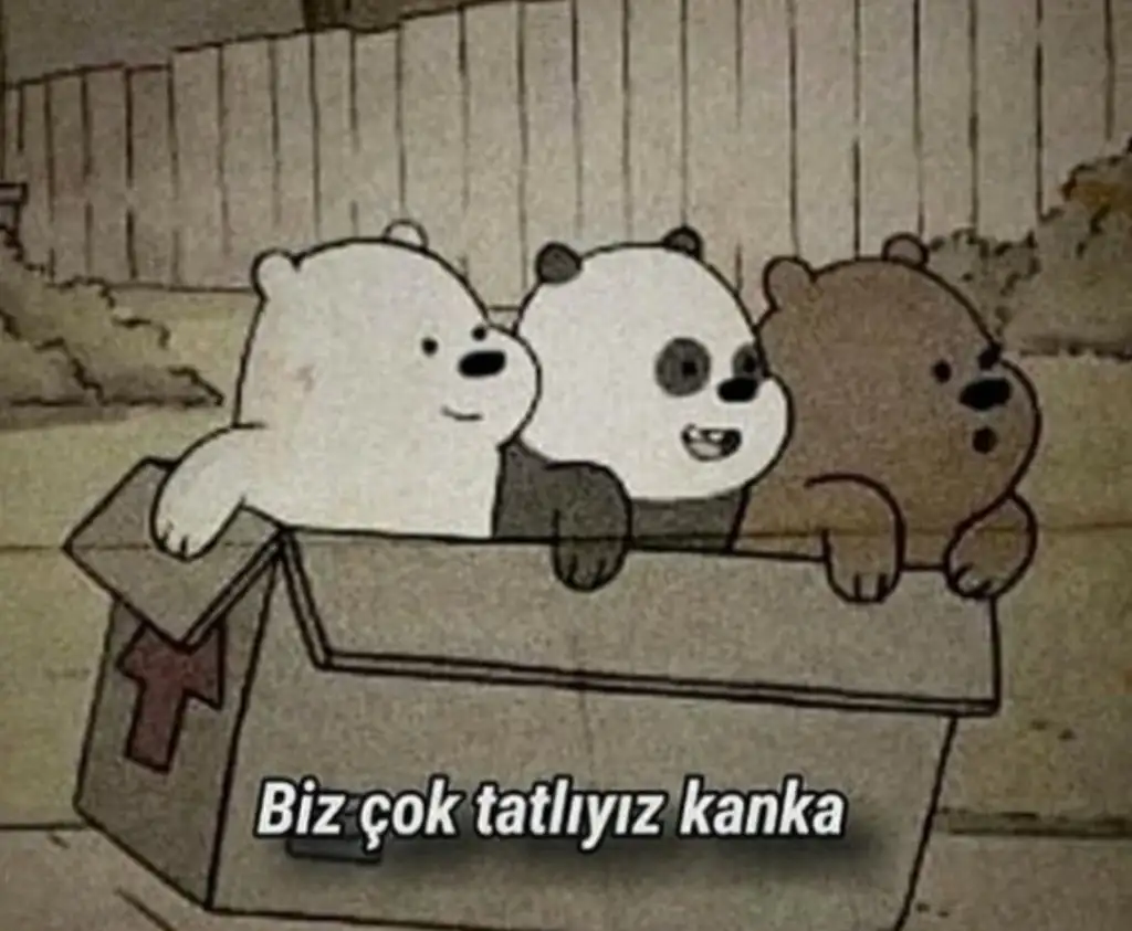 20200901_112457.webp