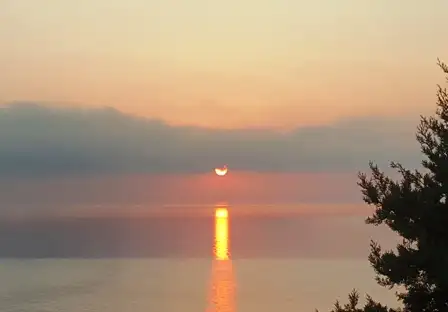 20200918_070735.webp
