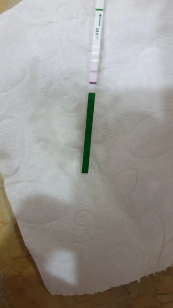 20201013_190559.webp