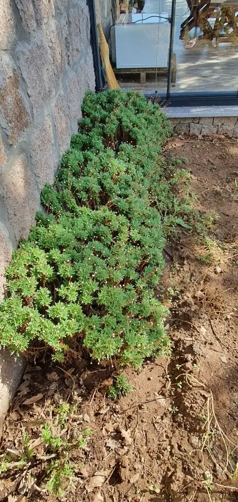 20201018_120436.webp