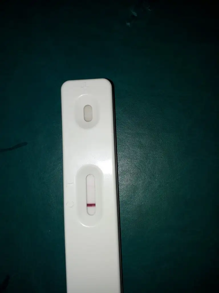 20201029_133428.webp
