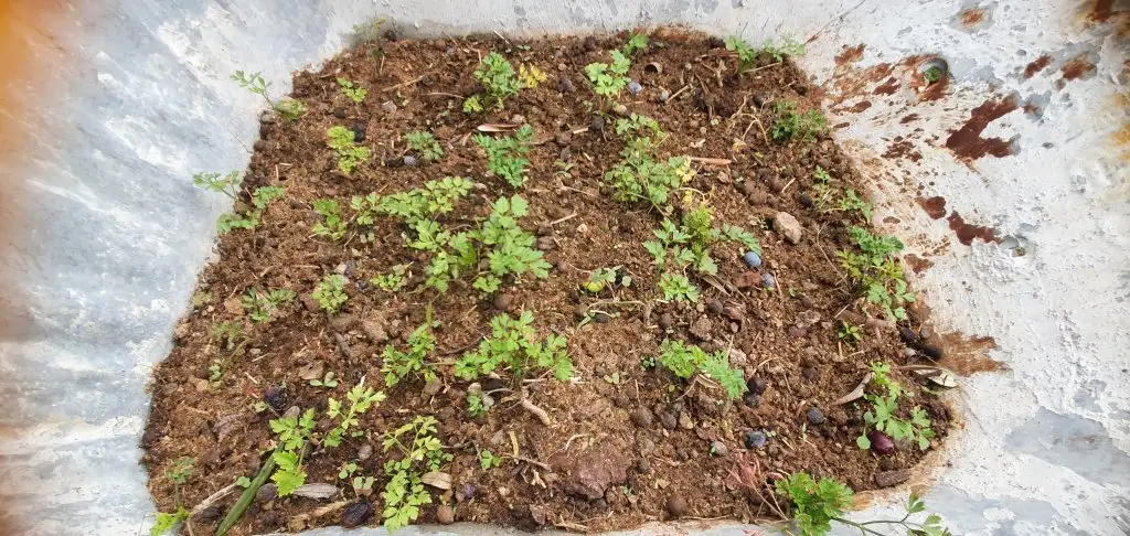 20201103_114625.jpg