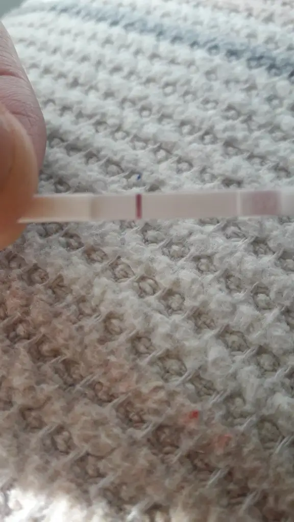 20201115_111537.webp