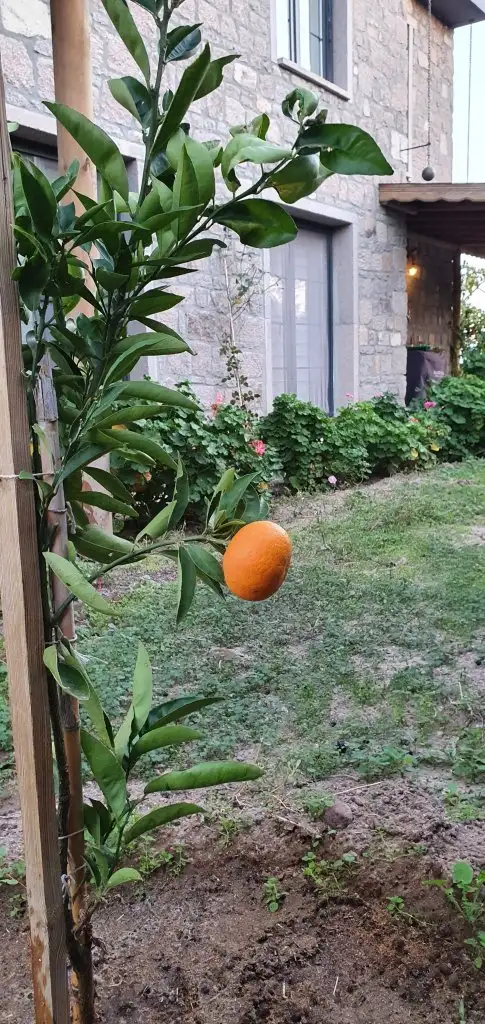 20201116_175306.jpg