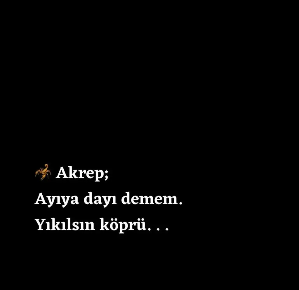 20201211_203212.webp