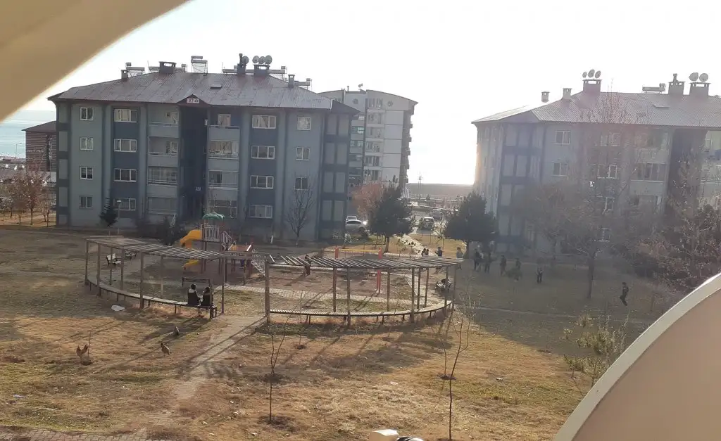 20201220_152134.webp