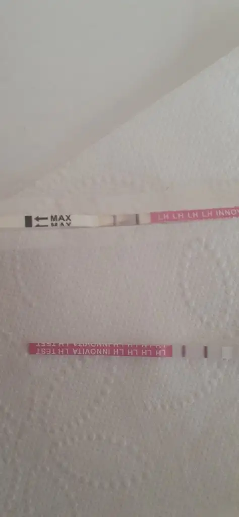 20201224_135820.jpg