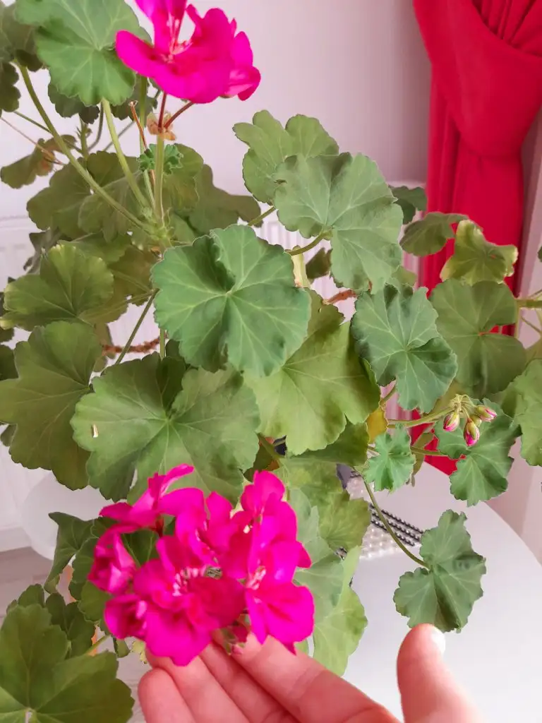 20201225_155357.webp