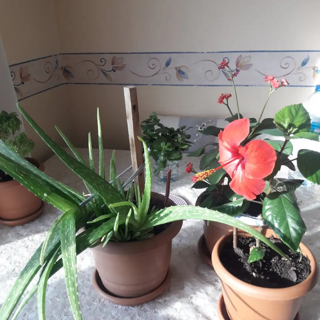 20201226_102417.webp