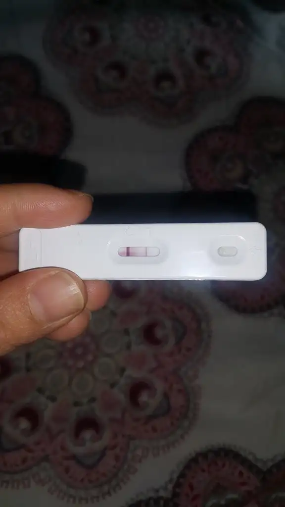 20201227_123035.webp