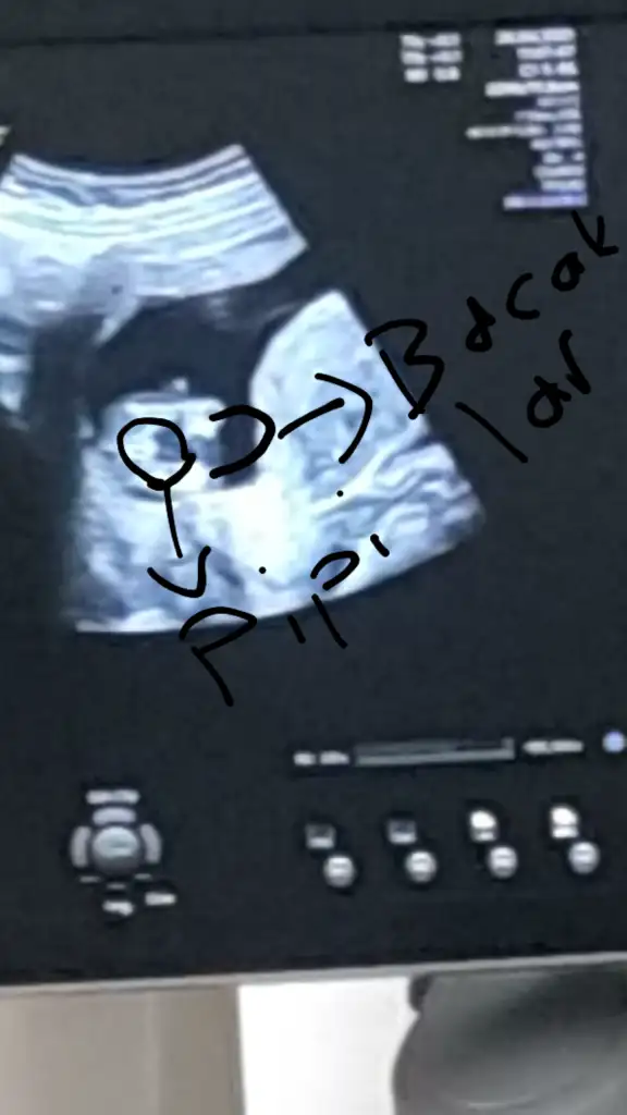 2021-04-26 14.38.46.webp