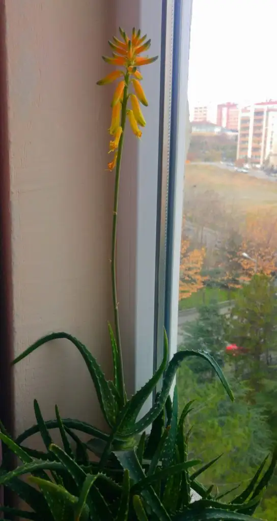 20210108-WA0010.webp