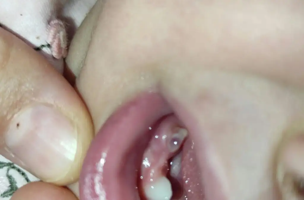 20210505_224533.webp