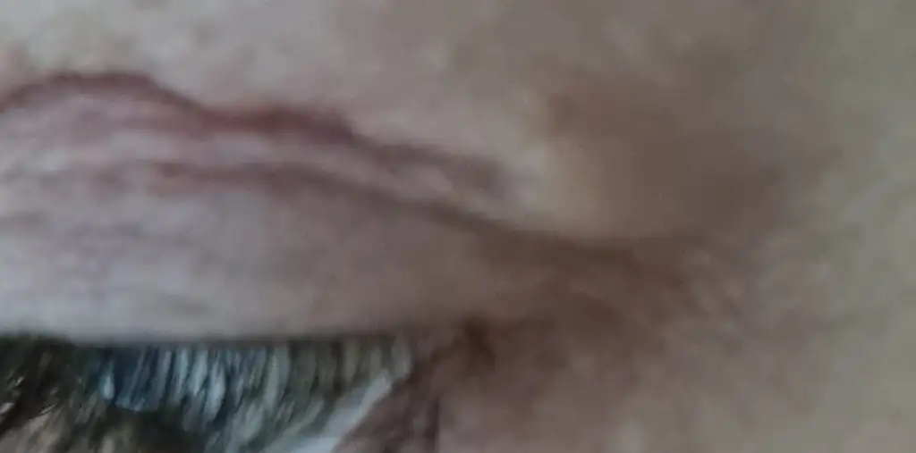 20210511_043619.webp