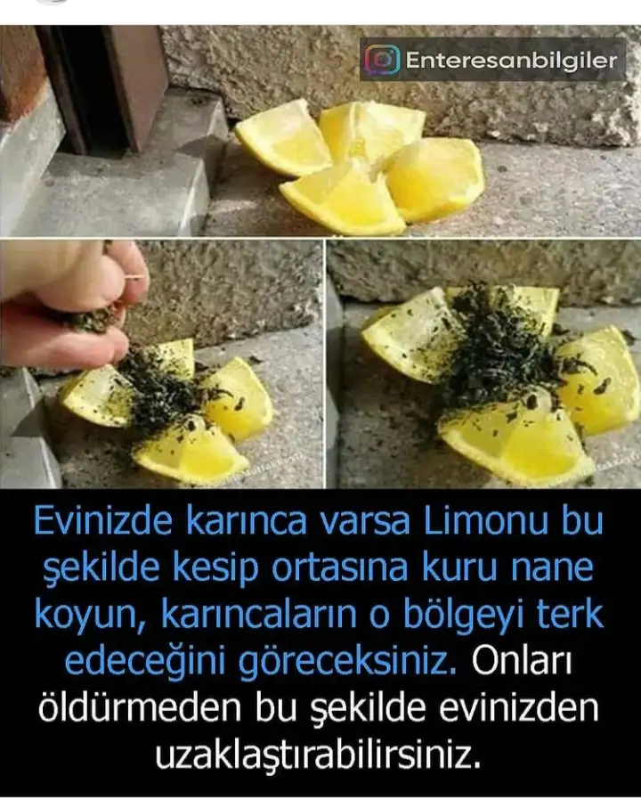 20210611_104912.webp