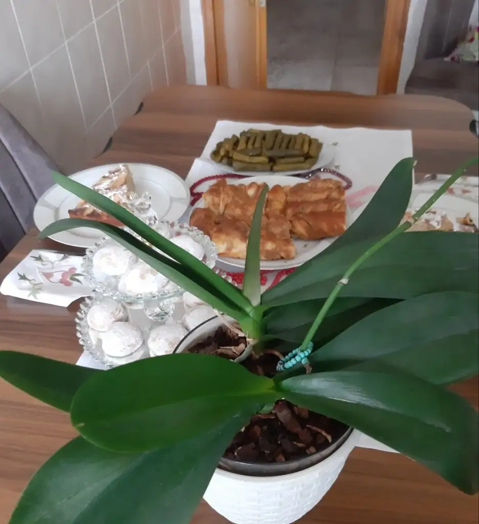 20210717_172432.webp