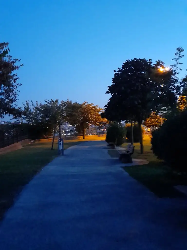 20210722_205955.webp