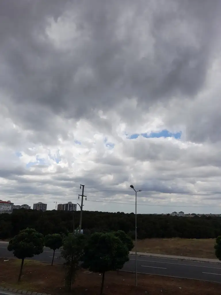 20210814_102356.webp