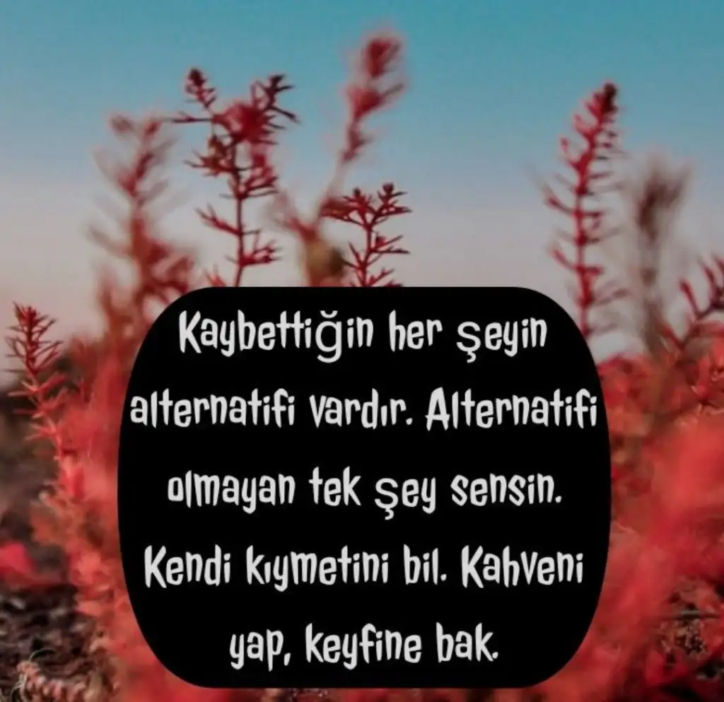20210824_233730.webp