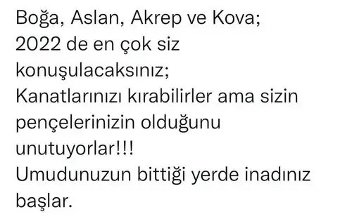2022 sezen tatlı (2).webp