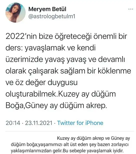 2022 yıllık 3.webp
