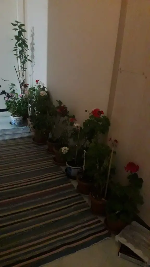 20220119_190338.webp