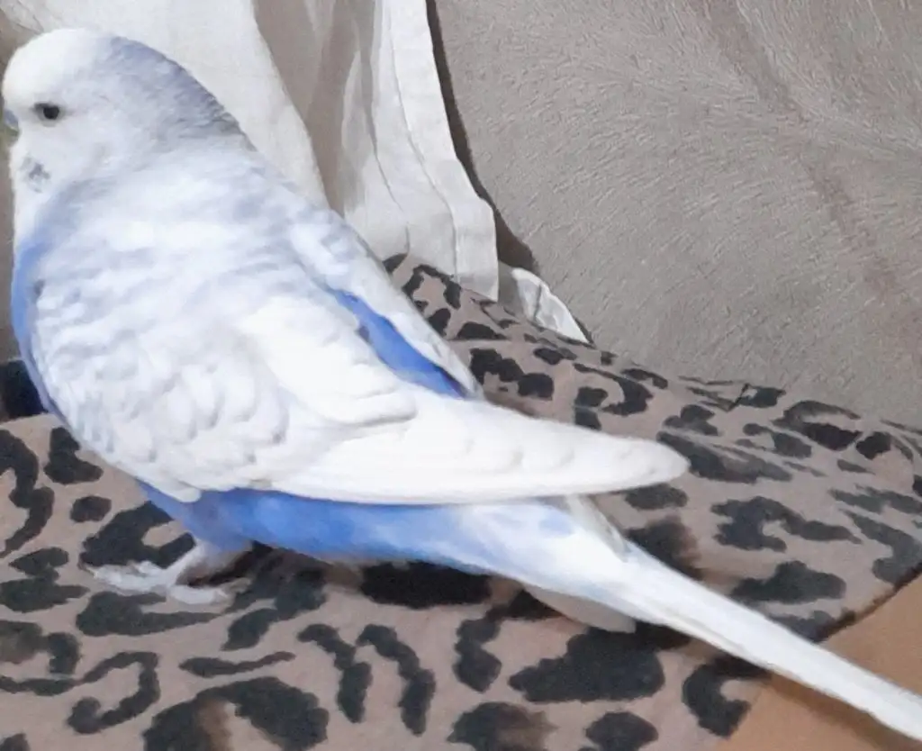 20220126_203615.jpg