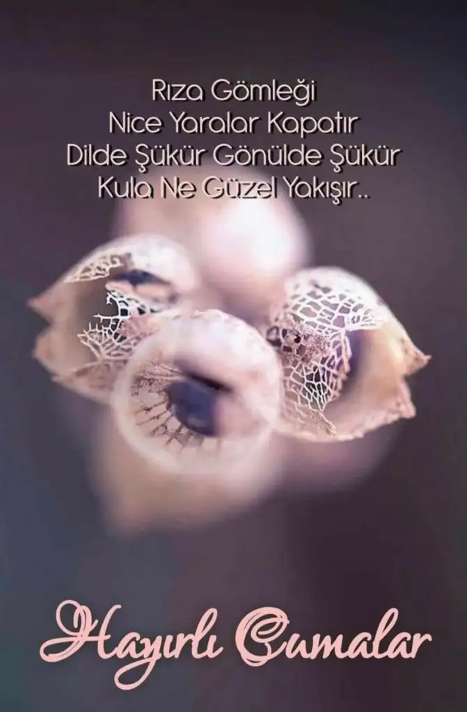 20220211_091746.webp