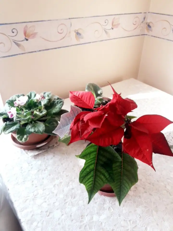 20220216_092142.webp