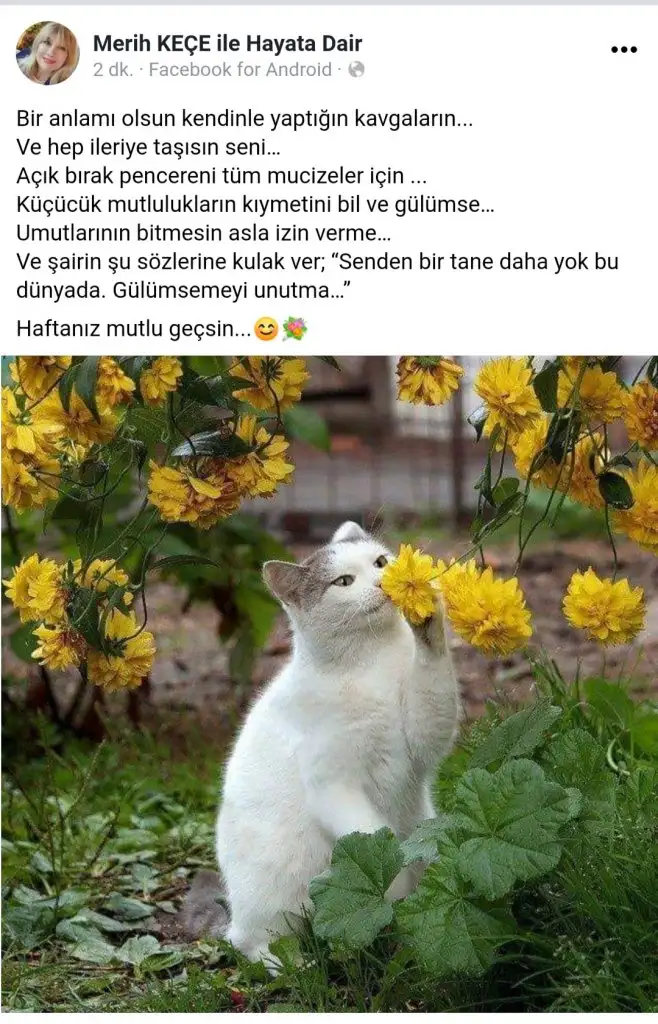 20220221_120322.webp