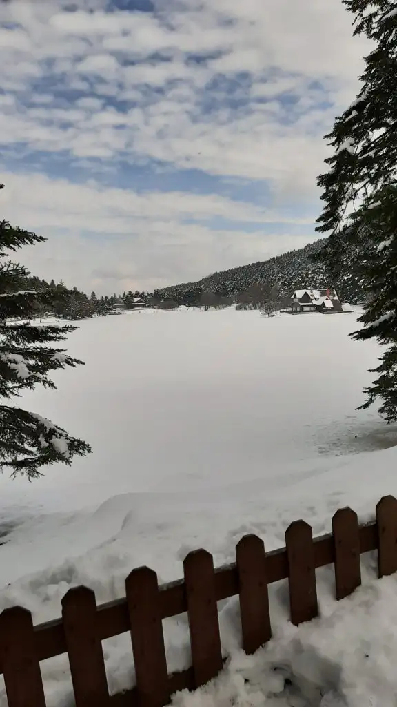 20220227_133848.webp