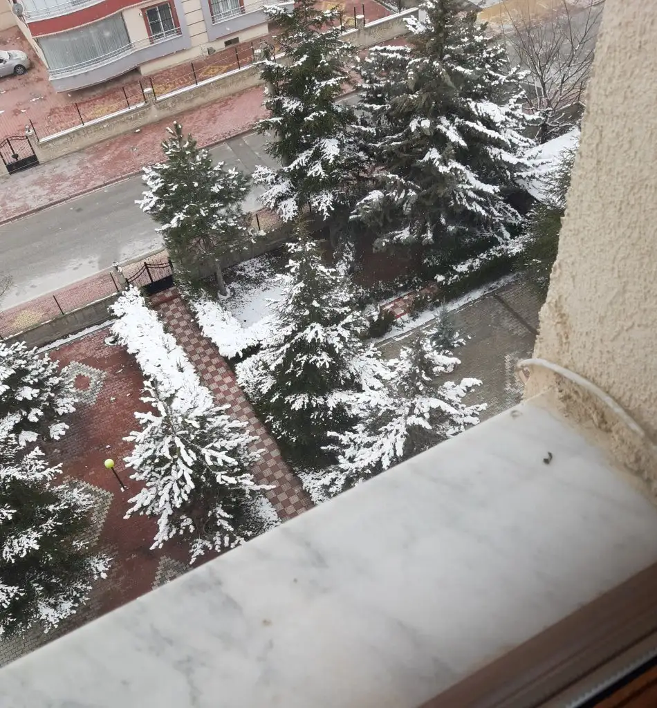 20220310_124038.webp