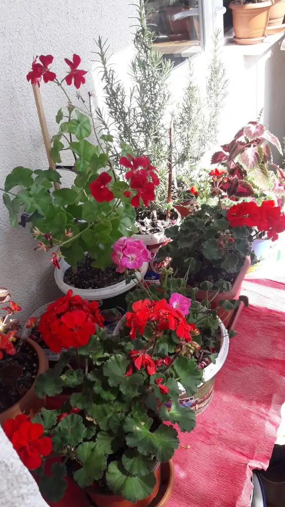 20220316_132858.webp