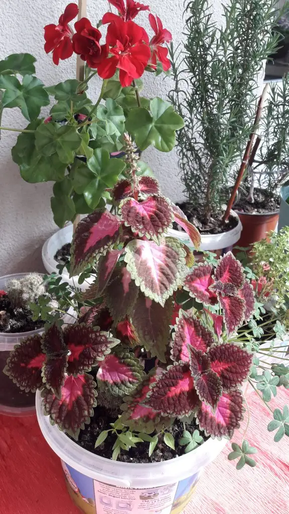 20220317_111127.webp
