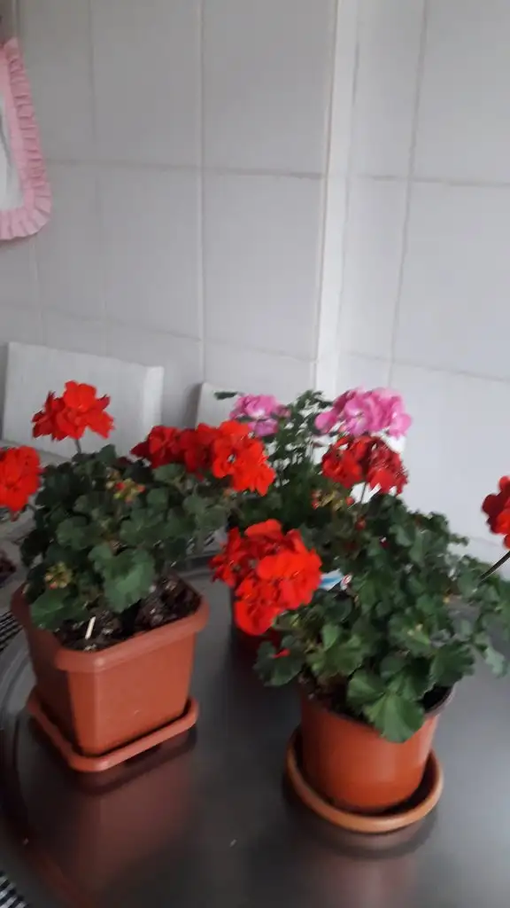 20220324_135926.webp