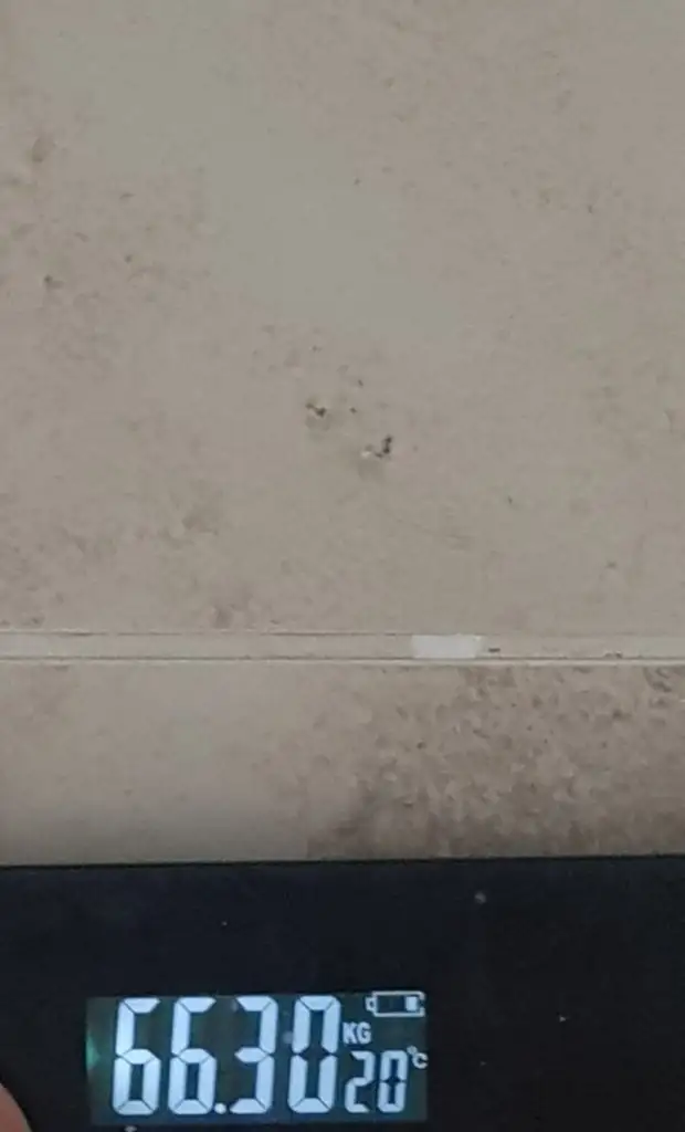 20220325_111805.webp