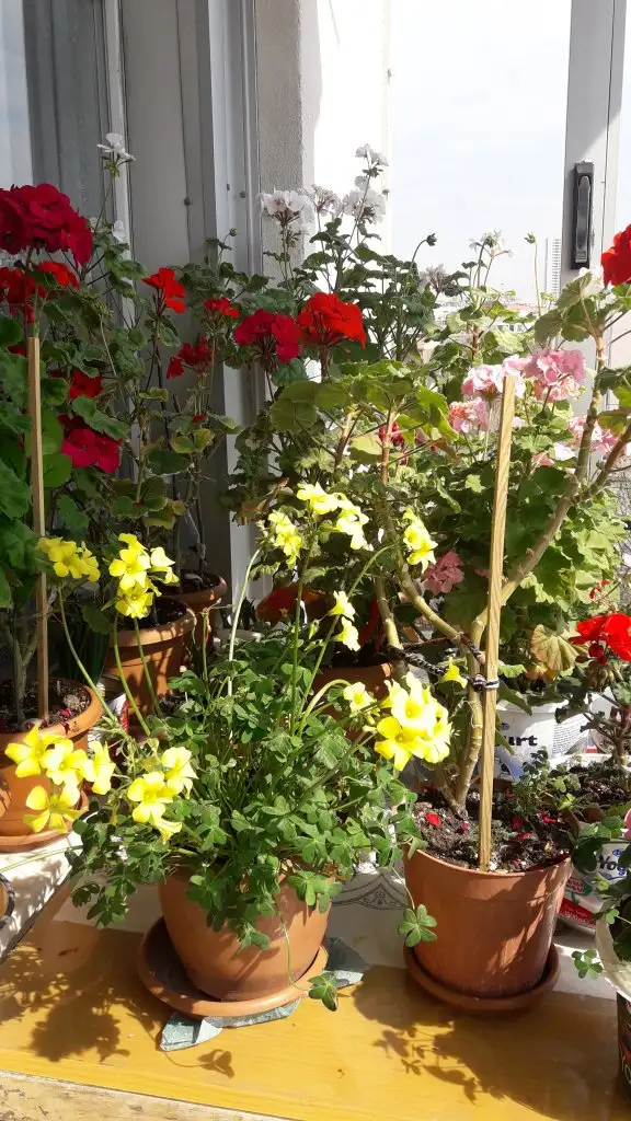 20220325_142801.webp
