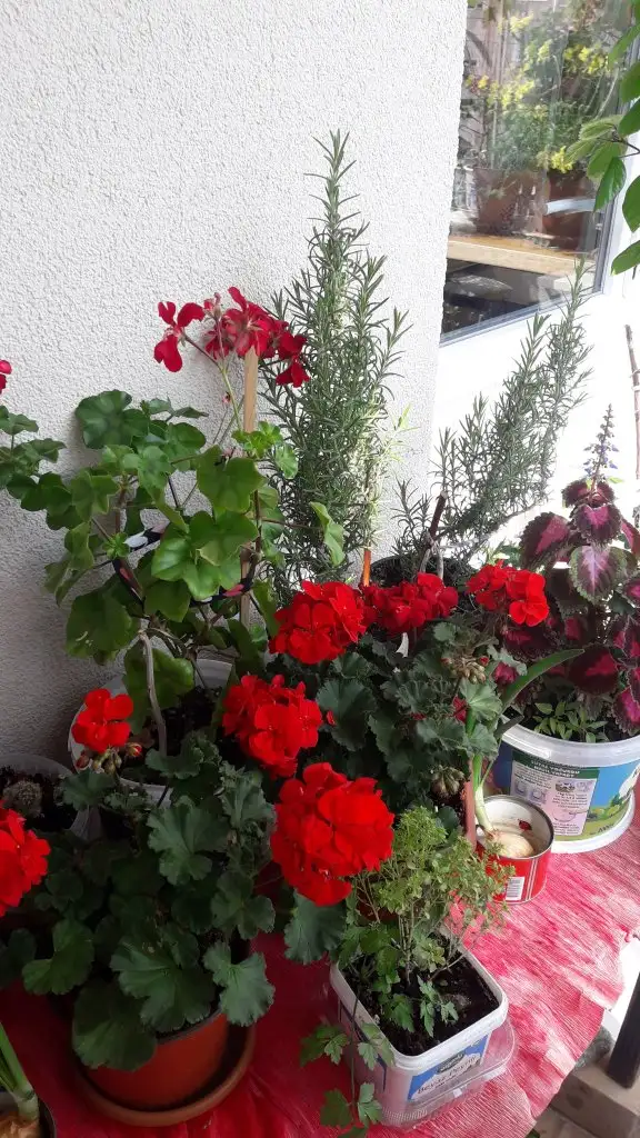20220325_142807.webp