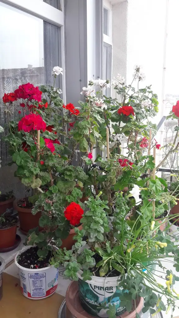 20220331_090431.webp