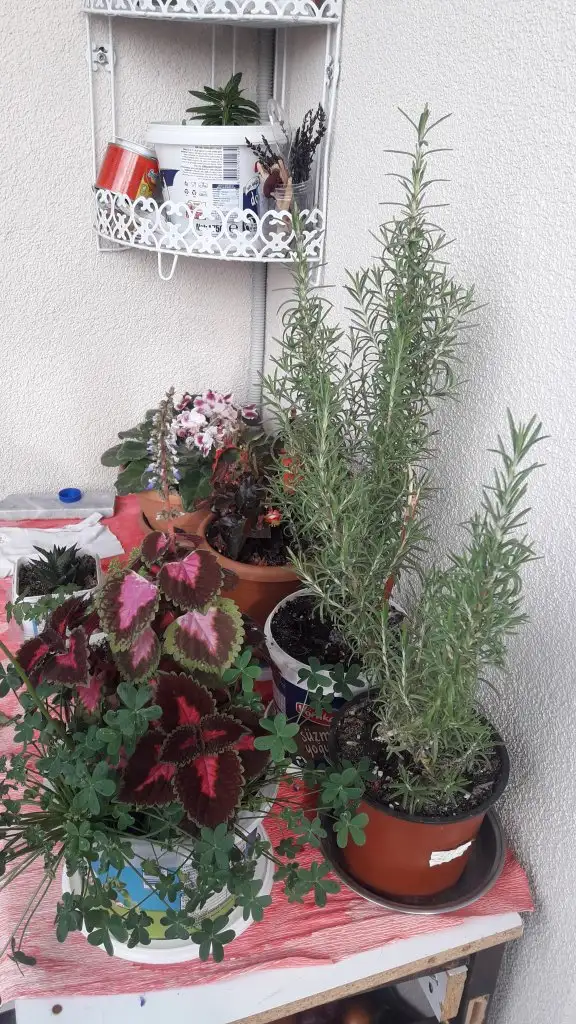 20220331_090504.webp
