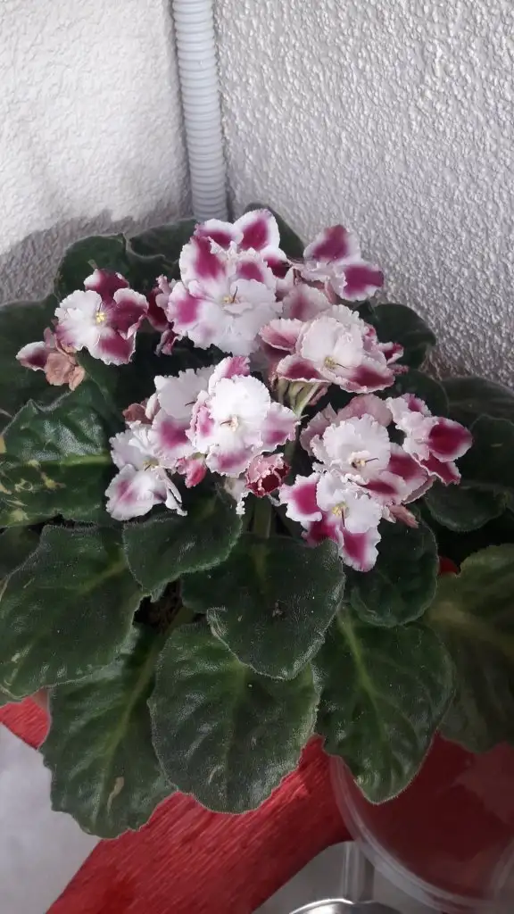 20220331_090514.webp