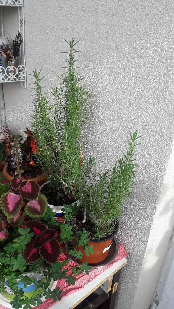 20220331_090846.webp