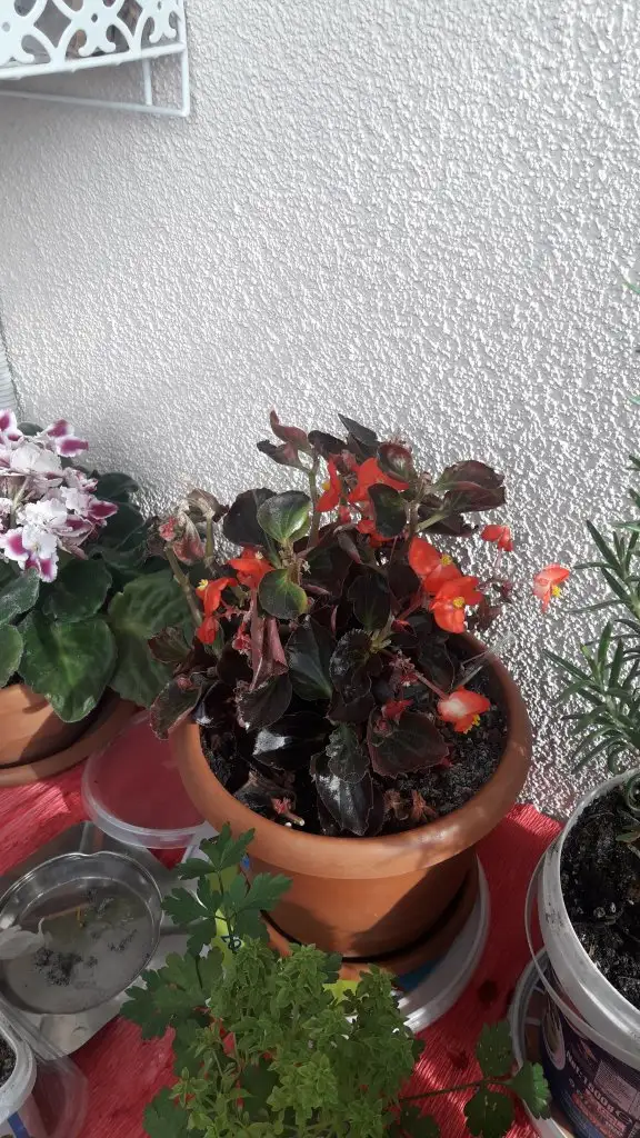 20220331_090852.webp