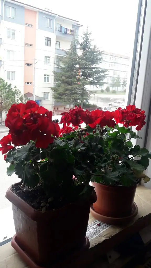 20220331_090909.webp