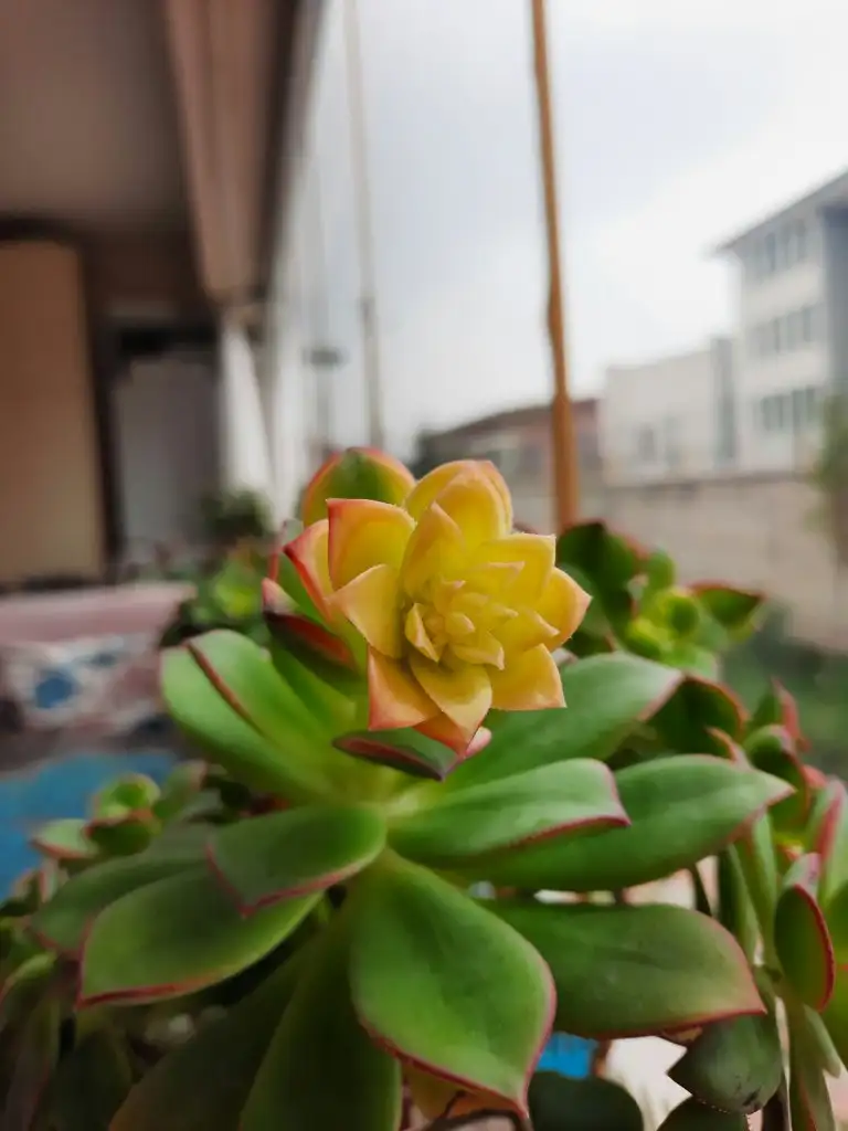 20220331_155552.webp