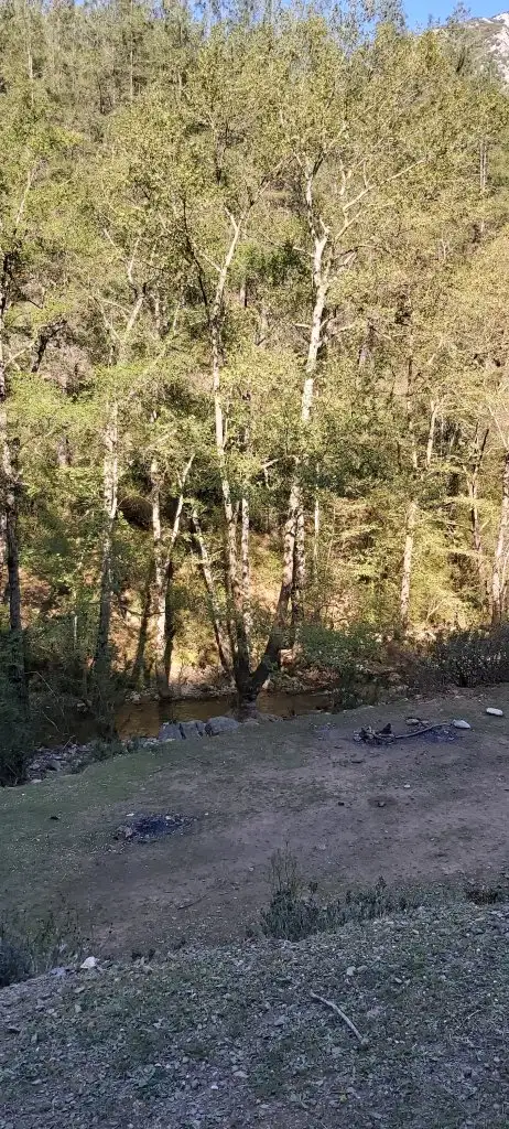 20220412_164853.webp