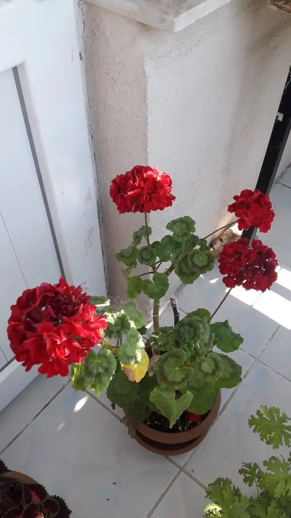 20220421_090657.webp