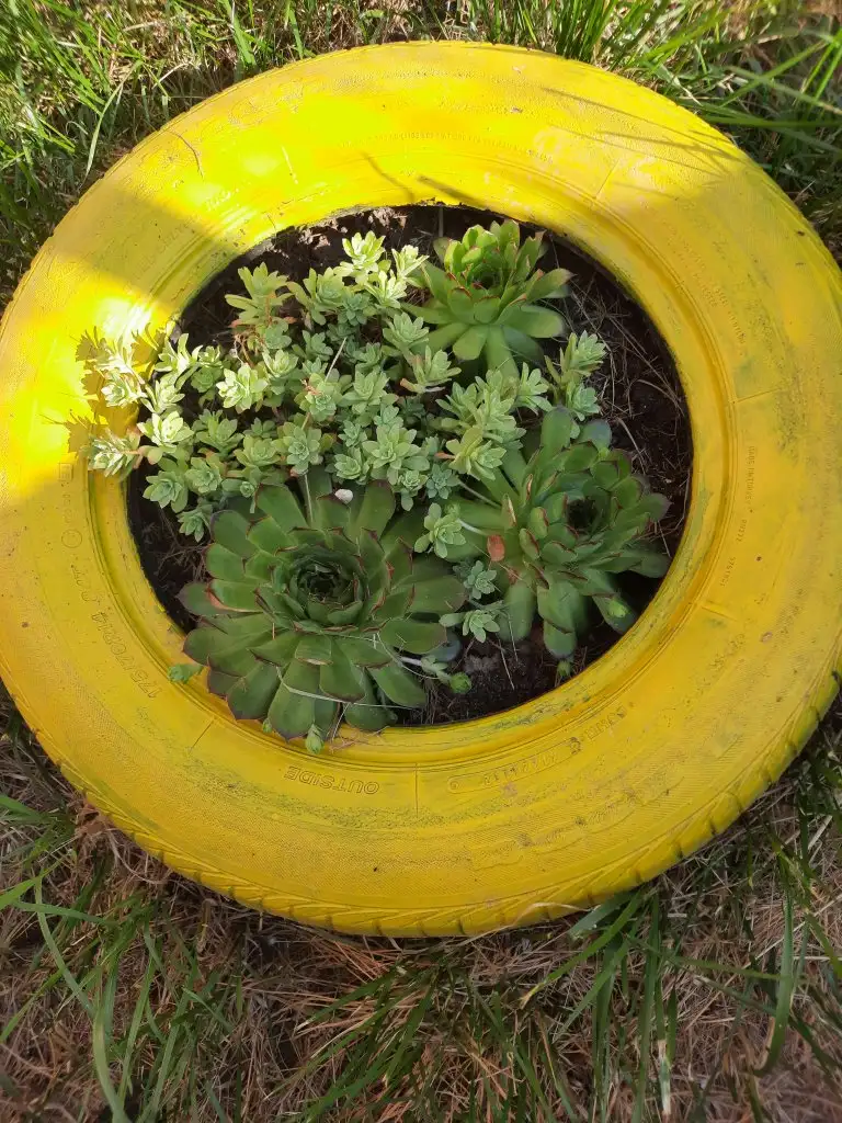 20220516_172103.jpg
